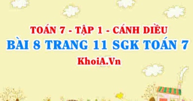 Bài 8 trang 11 SGK Toán 7 tập 1 Cánh Diều